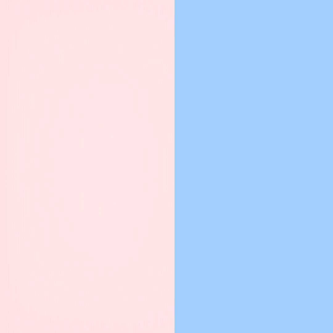 The Gender Reveal Collection